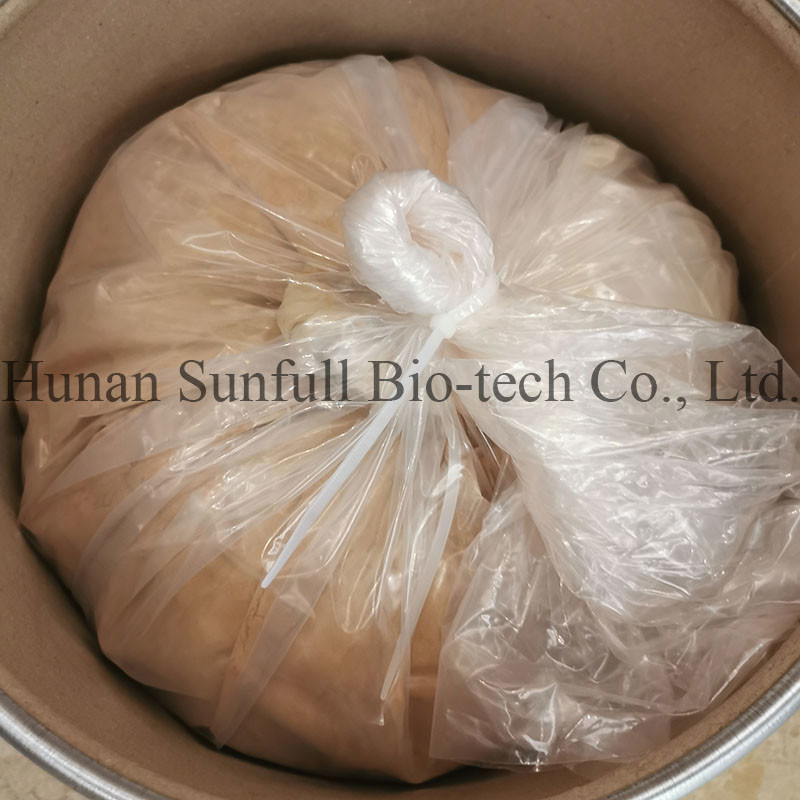 Ekstrakt z liści Ginkgo Biloba 24/6 CAS 90045-36-6 Cp USP561 Ep EC396