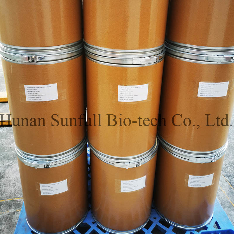 Ekstrakt z liści Ginkgo Biloba 24/6 CAS 90045-36-6 Cp USP561 Ep EC396