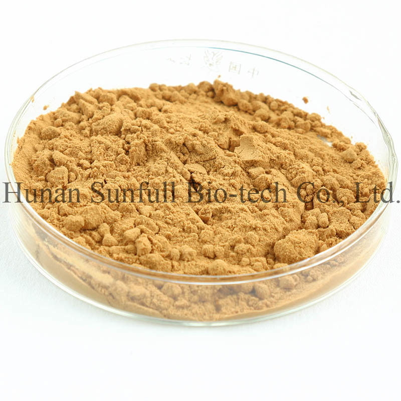Ekstrakt z liści Ginkgo Biloba 24/6 CAS 90045-36-6 Cp USP561 Ep EC396