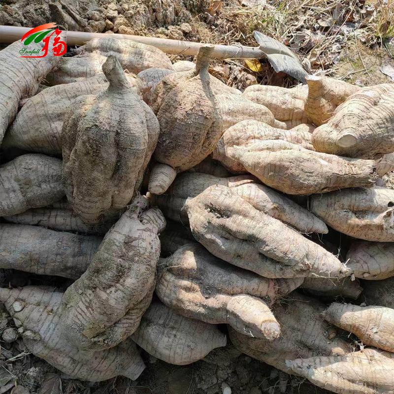Chiny Fabryka Ekstrakt korzenia naturalnego kudzu Puerarin z 25% 60% 98% Do wyboru