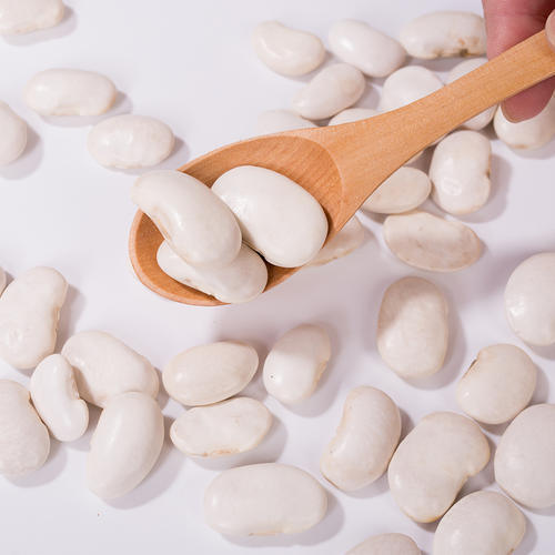 Ekstrakt z białej fasoli nerkowej (Phaseolus vulgaris) - Inhibitor α-amylazy o wysokiej czystości do kontroli wagi i poziomu cukru we krwi