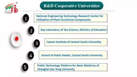 Drobny brązowo-żółty proszek Ekstrakt z opieńki miodowej o dobrej rozpuszczalności w wodzie do zastosowań spożywczych