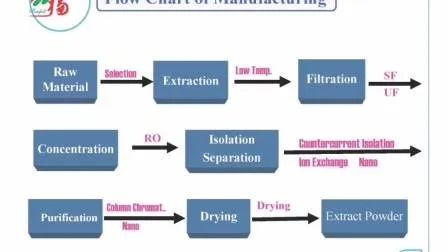 Ekstrakt Cordyceps Sinensis w proszku z 10% polisacharydami do stosowania w żywności funkcjonalnej przeciw astmie w postaci cienkiego brązowo-żółtego proszku