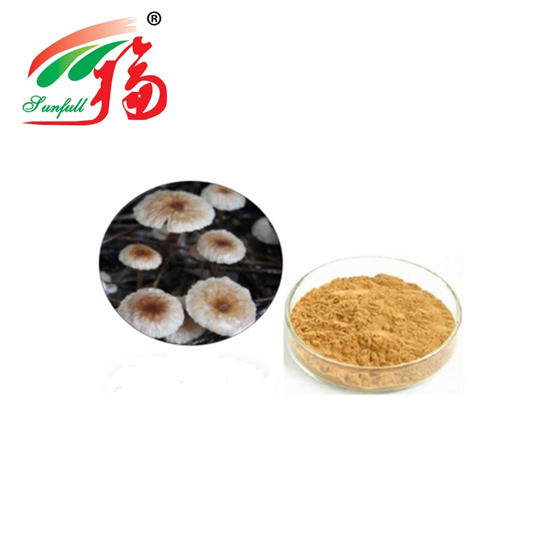 Wysokiej jakości ekstrakt w proszku z Marasmius Androsaceus o wielkości oczek 80 mesh, 2 lata trwałości i zdolności produkcyjnej 20t/rok