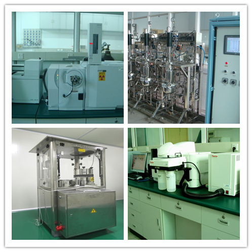 Proszek ekstraktu Morchella Esculenta, 100% przez sito 80 mesh, okres przydatności 2 lata, zdolność produkcyjna 20t/rok