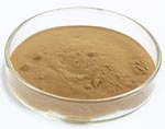 Shiitake Mushroom Extract Powder with 50% Polysaccharides for Functional Food and Health Care Products