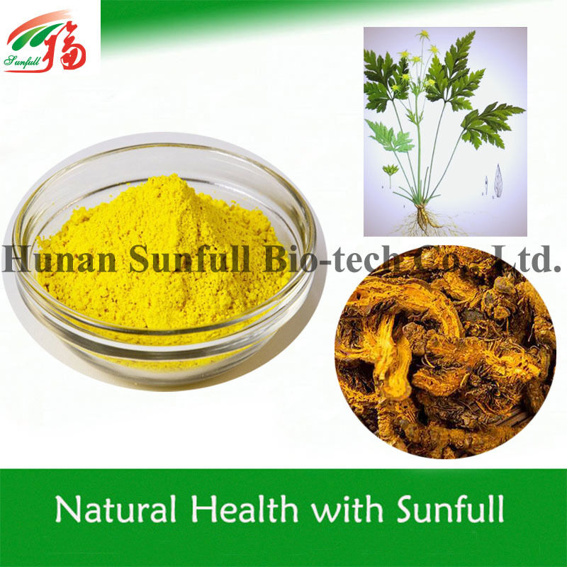 100% naturalnego chlorku węglowodorku berberyny 97% 98% z korzenia Coptis chinensis z numerem CAS 633-65-8