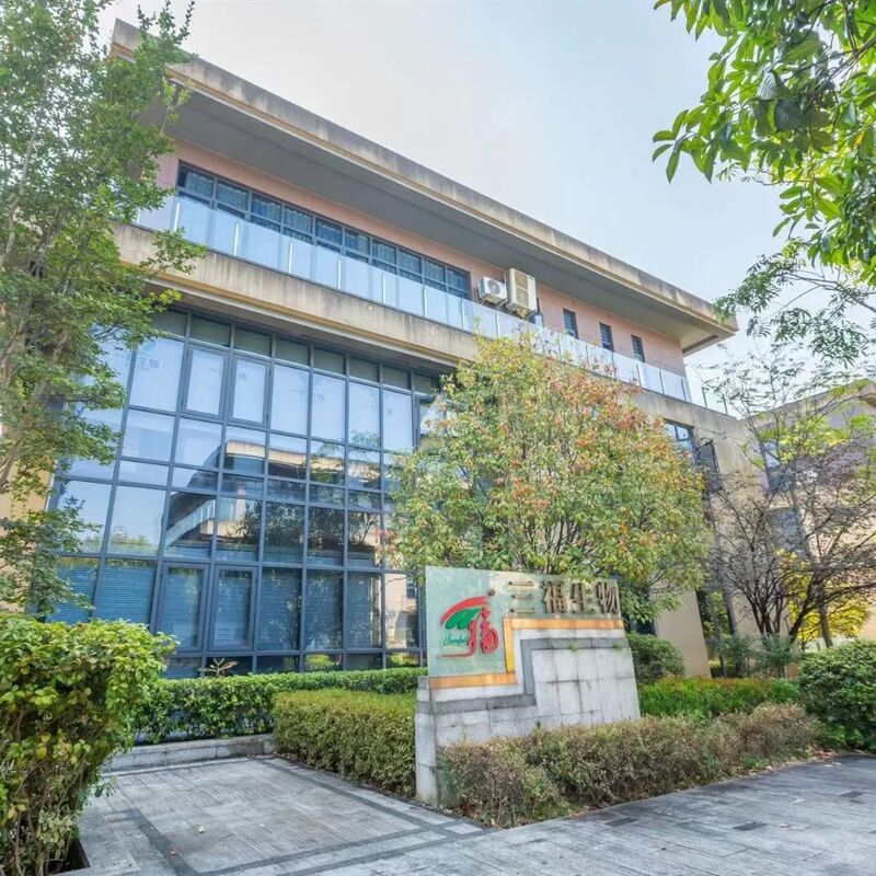 Ekstrakt Chaga 20% polisacharydów do żywności funkcjonalnej w postaci proszku z ekstraktu grzyba