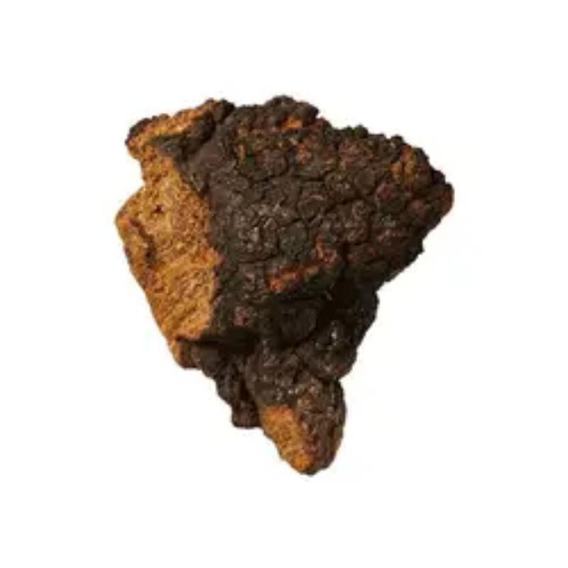 Ekstrakt Czaga 50% polisacharydów do żywności funkcjonalnej w celu wzmocnienia odporności jako proszek z ekstraktu grzybowego