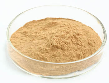Ekstrakt z boczniaka ostrygowatego w proszku z 10% polisacharydów do żywności funkcjonalnej jako drobny brązowo-żółty proszek
