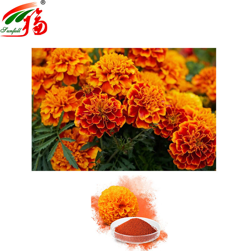 Factory Direct Sales Marigold Extract 5%~10%,90% Lutein by HPLC for beverages