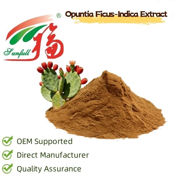 Cactus Extract (Stem, Fruit & Pad) - Natural Moisturizing & Antioxidant Plant Extract for Skincare, Cosmetics and Functional Products 