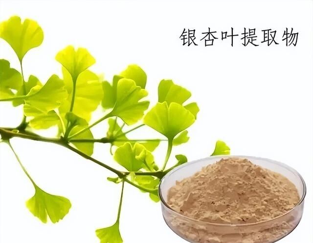 100% naturalny rozpuszczalny w wodzie 24% ginkgolides ekstrakt z liści miłorzębu japońskiego w proszku do suplementów diety