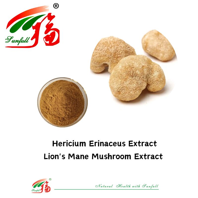 Hunan Sunfull Suplementy diety Agaricus Subrufescens/Hericium Erinaceus/Antrodia/Cordyceps Sinensis/Coriolus Versicolor/proszek z ekstraktem z grzybów