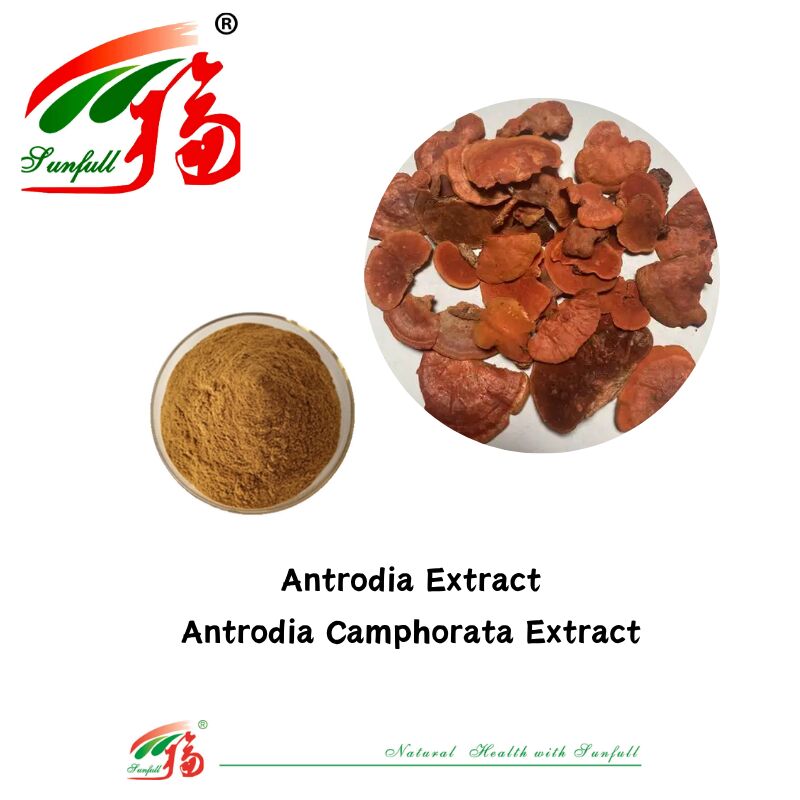 Hunan Sunfull Suplementy diety Agaricus Subrufescens/Hericium Erinaceus/Antrodia/Cordyceps Sinensis/Coriolus Versicolor/proszek z ekstraktem z grzybów