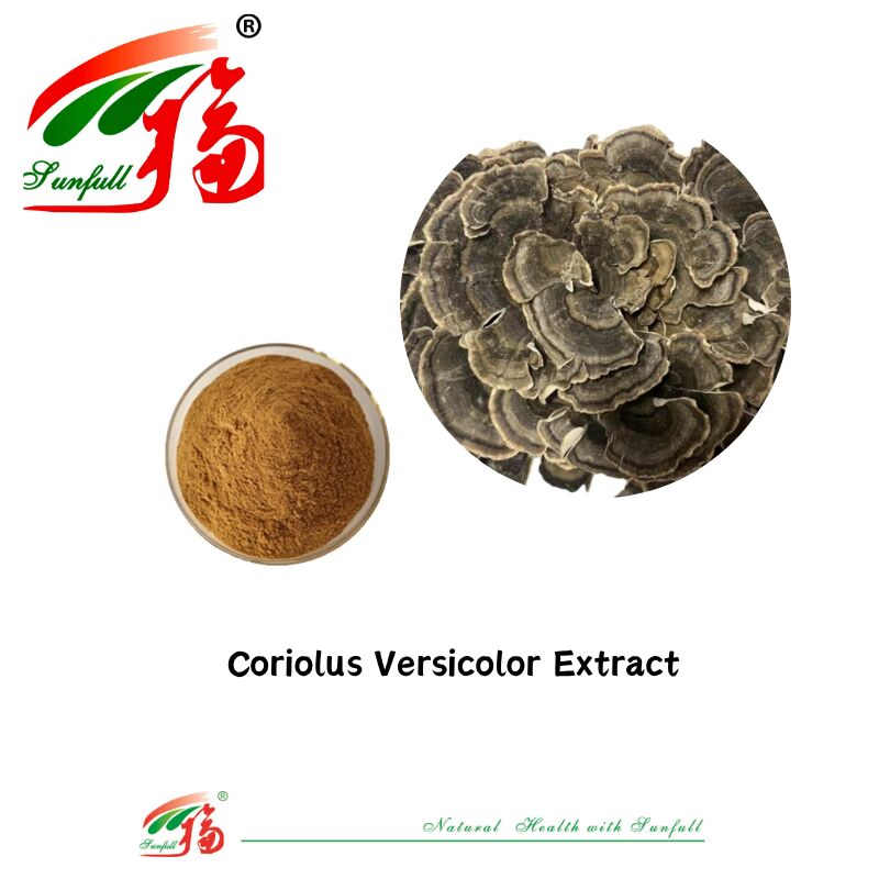 Hunan Sunfull Suplementy diety Agaricus Subrufescens/Hericium Erinaceus/Antrodia/Cordyceps Sinensis/Coriolus Versicolor/proszek z ekstraktem z grzybów