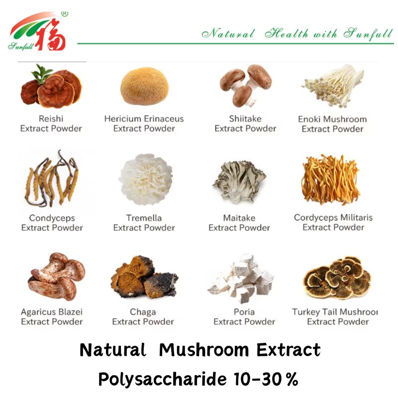 Hunan Sunfull Suplementy diety Agaricus Subrufescens/Hericium Erinaceus/Antrodia/Cordyceps Sinensis/Coriolus Versicolor/proszek z ekstraktem z grzybów