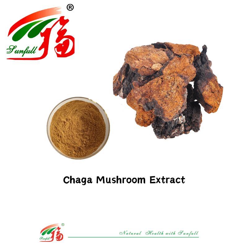 Naturalny składnik organiczny Suplementy diety Polizacharyd 10-30% Phellinus Igniarius /Ganoderma Lucidum/Chaga/Maitake / Shiitake Powder
