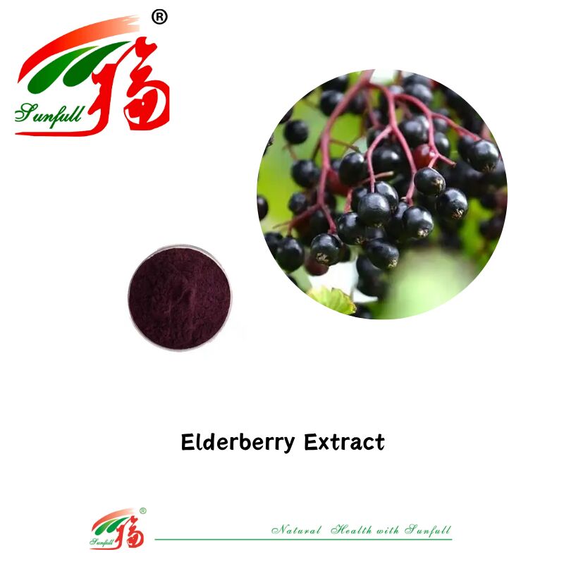 Hunan Sunfull Factory Supply Wysokiej jakości naturalne antyoksydanty Antocyjaniny 1%-25% Ekstrakt z borówki/buraków/Acai Berry/Blaccurrant/Blueberry