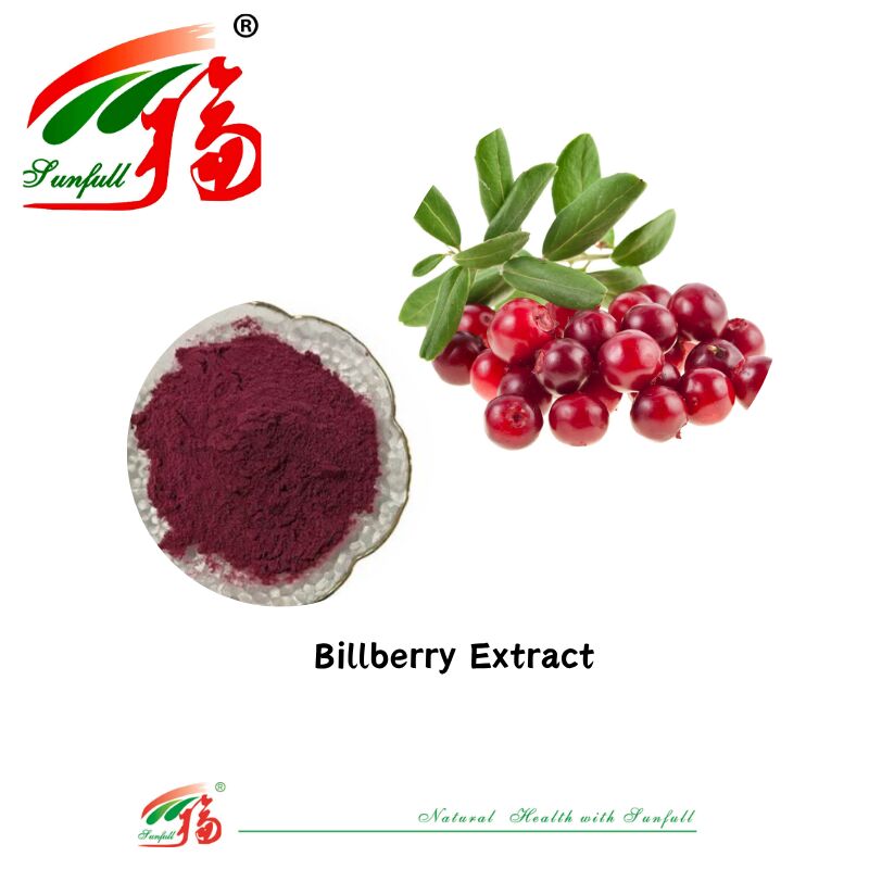 Hunan Sunfull Factory Supply Wysokiej jakości naturalne antyoksydanty Antocyjaniny 1%-25% Ekstrakt z borówki/buraków/Acai Berry/Blaccurrant/Blueberry