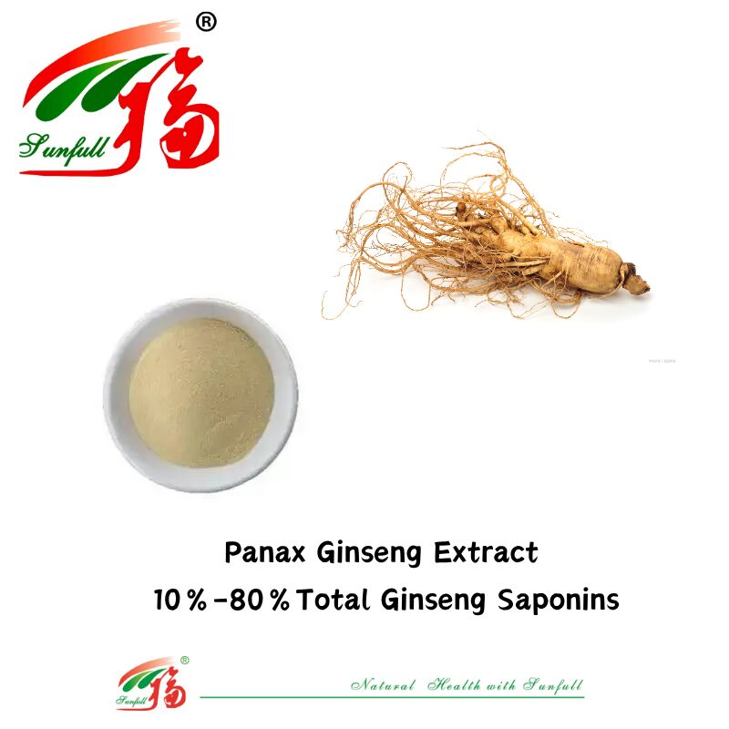 Sunfull Producent Bezpłatna próbka Tradycyjna medycyna chińska Organiczny HPLC 10% 80% Ginsenosydy Amerykański Ginseng / Ekstrakt z koreańskiego ginseng / Ekstrakt z Panaxu ginseng