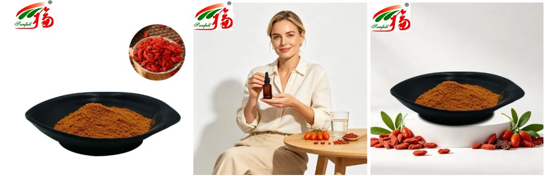 Naturalne chińskie suplementy diety Antocjanyny 1-25% Polizacharydy 10%-50% Lukium Barbarum Ekstrakt Wolfberry Ekstrakt/Goji Berry Ekstrakt