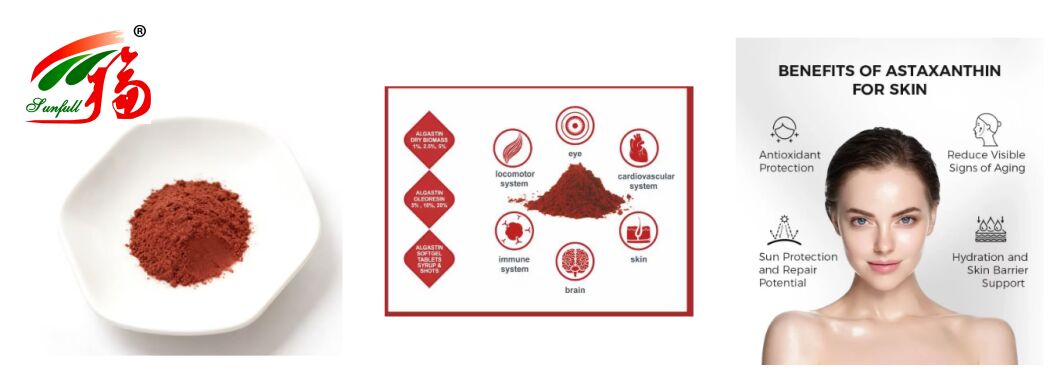 Sunfull Produkty spożywcze Przeciwutleniacze Wyposażenie zdrowotne Wysokiej jakości 1% - 10% Ekstrakt z naturalnego hematokoku pluvialis/Astaxanthin Powder