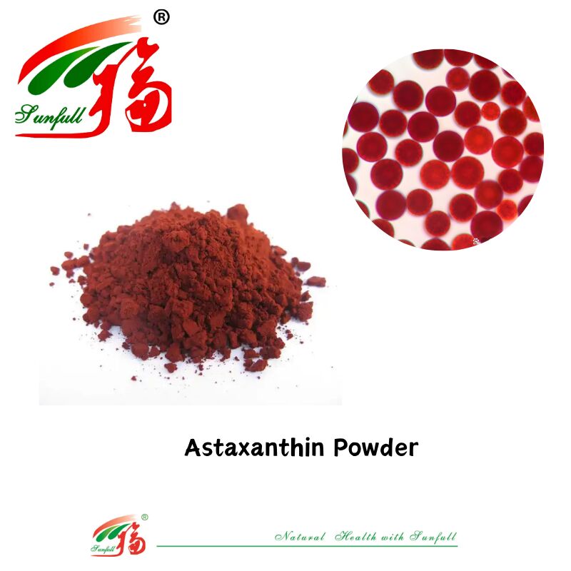 Sunfull Produkty spożywcze Przeciwutleniacze Wyposażenie zdrowotne Wysokiej jakości 1% - 10% Ekstrakt z naturalnego hematokoku pluvialis/Astaxanthin Powder