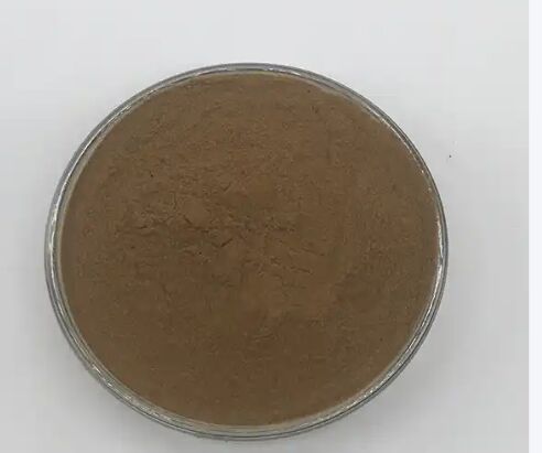 ISO/Kosher sprzyja trawieniu Ekstrakt z nasion kasji w klasie żywnościowej 10: 1 / 20% HPLC Sennosides Senna Leaf Extract