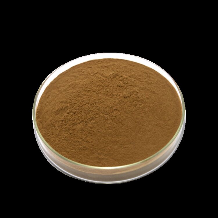 ISO/Kosher sprzyja trawieniu Ekstrakt z nasion kasji w klasie żywnościowej 10: 1 / 20% HPLC Sennosides Senna Leaf Extract