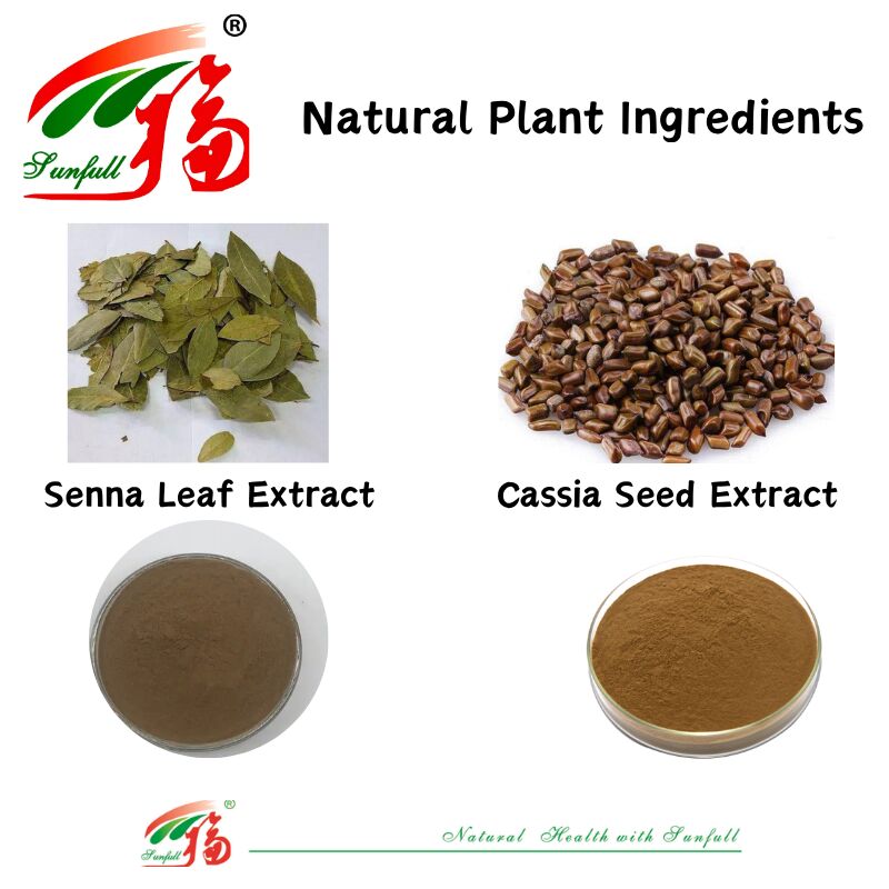 ISO/Kosher sprzyja trawieniu Ekstrakt z nasion kasji w klasie żywnościowej 10: 1 / 20% HPLC Sennosides Senna Leaf Extract