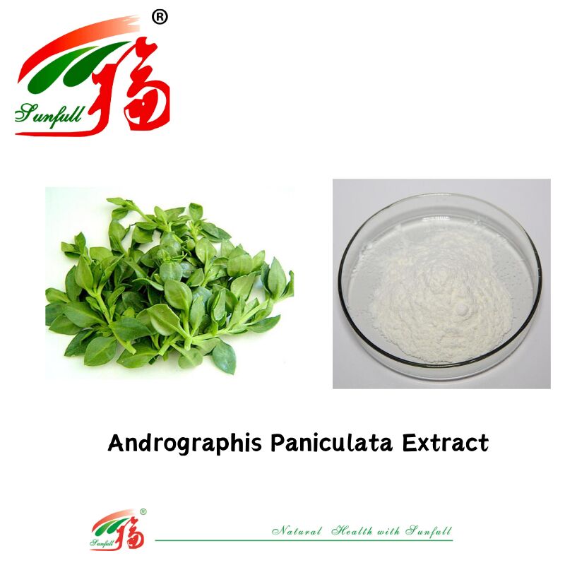 Dostawa hurtowa Najlepsza cena Naturalny dodatek paszowy Dostawa hurtowa Najlepsza cena Naturalny dodatek paszowy 95% ekstrakt z Andrographis Paniculata Nr CAS 5508-58-7