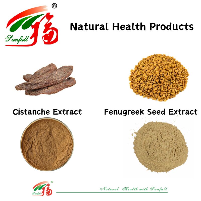 Wspierać zdrowie mężczyzn Ekstrakt z nasion fenugreek naturalnej wysokiej jakości Saponiny 20% / Glikozydy fenylethanoidowe 40% / Echinocoside 8% Ekstrakt cystanche
