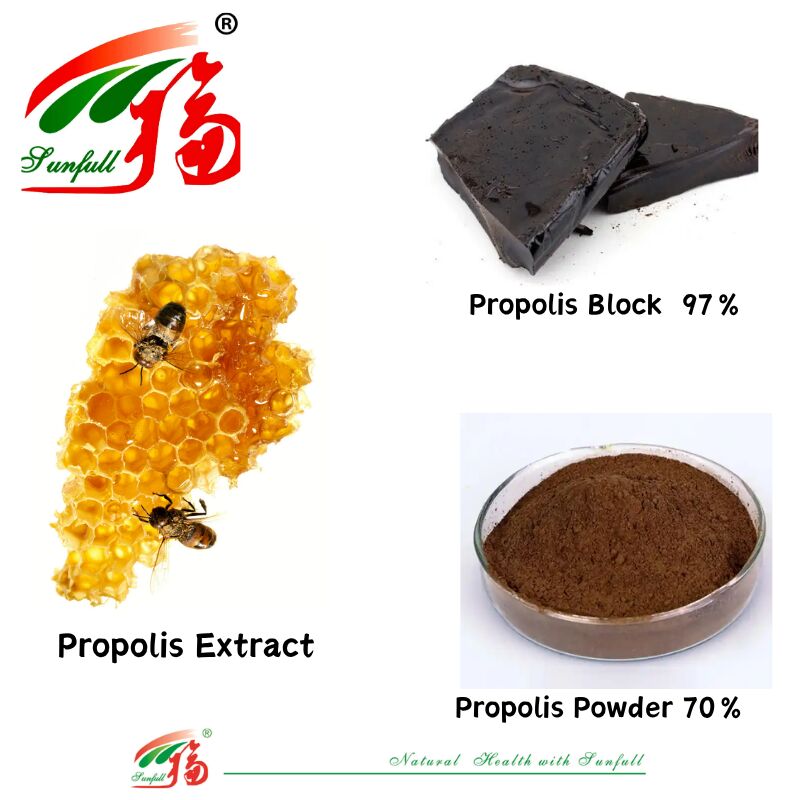 Suplementy diety/Produkt farmaceutyczny Bogaty w flawonoidy 10%-20% Wodorozpuszczalny propolis Blok 97% / Proszek propolis 70% Ekstrakt propolis