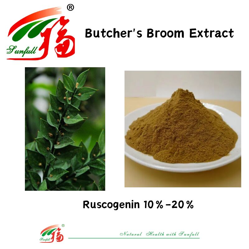 Wysokiej jakości cena fabryczna Ekstrakt korzenia Ruscus Aculeatus 10%-20% Ruscogenin Ekstrakt z miotwy rzeźnika