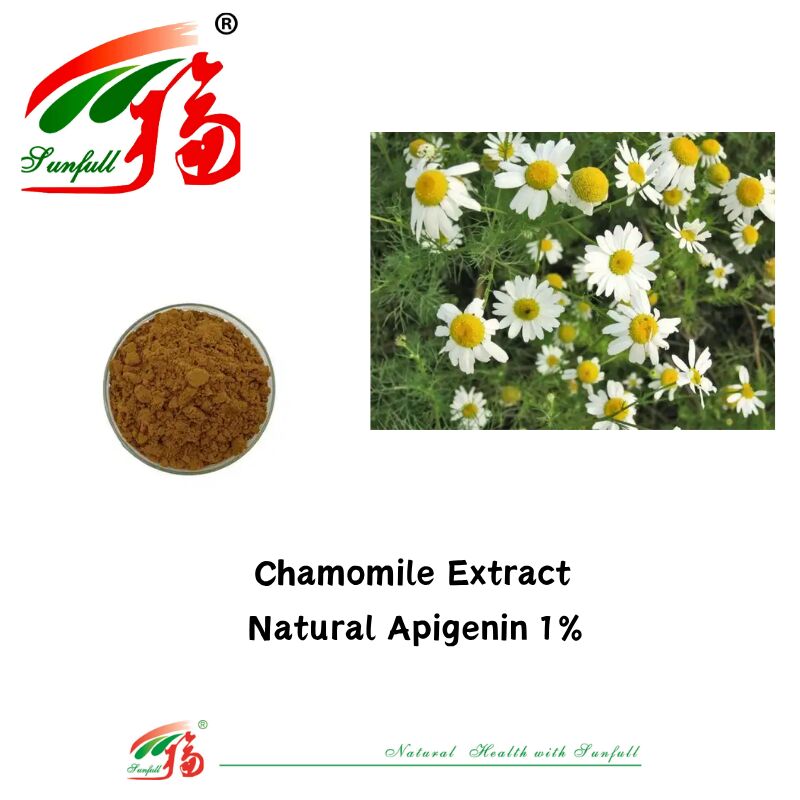 100% Ekstrakt z nasion selera naturalnego 98% Apigenin Powder CAS 520-36-5 Wysokiej jakości Apigenin 1% Ekstrakt z rumianku