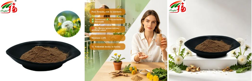 Spożywcze ziele mniszka lekarskiego Ekstrakt z liści mniszka w proszku Naturalne flawonoidy 5% -10% Organiczny ekstrakt z mniszka lekarskiego