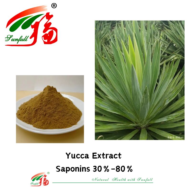 ISO/Kosher Deodorant Promote Gut Health Żywność dla zwierząt domowych Składnik 10%-80% Saponiny Ekstrakt z yucca