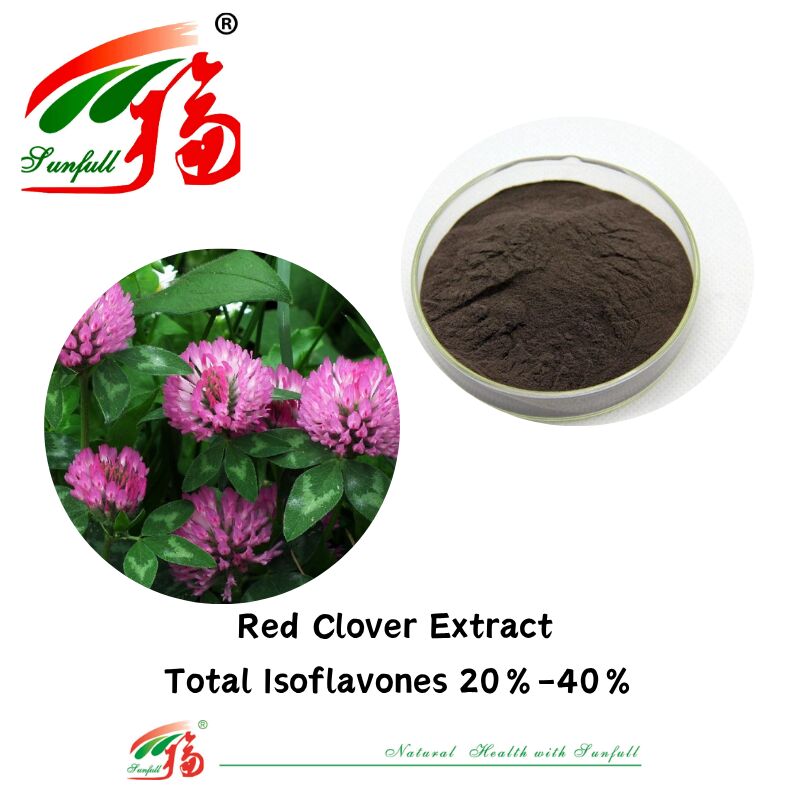 Hunan Sunfull dla równowagi hormonalnej i ulgi Czysto naturalne suplementy zdrowotne Organiczne izoflawony ogółem 20% -40% ekstrakt z czerwonej koniczyny