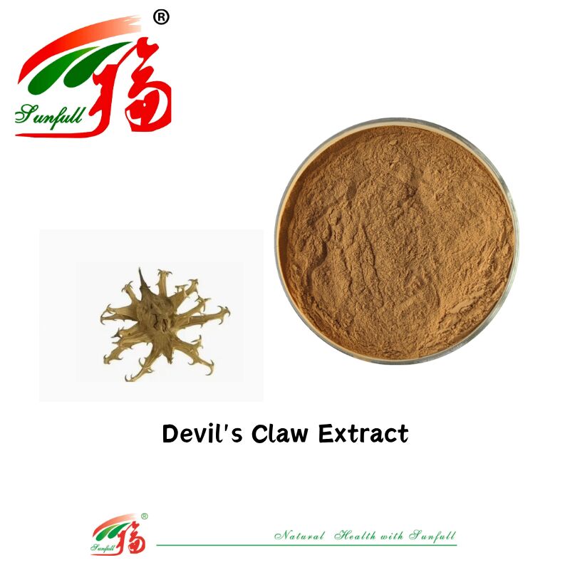 Naturalny czyste CAS 19210-12-9 Harpagophytum Procumbens Proszek 5% Harpagosyd Devils Claw Extract