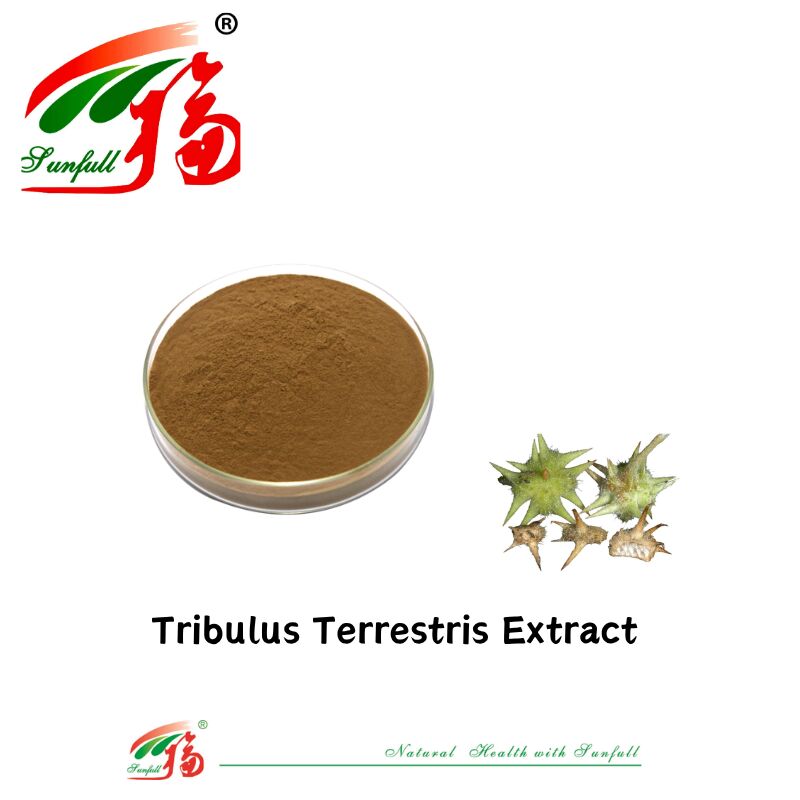 China Factory Hot Sell Man Health Food Grade Tribulus Extract Free Sample Tribulus Terrestris Extract Powder 40%-90% Saponiny