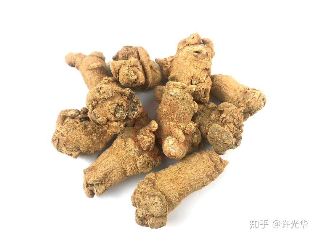 Zastosowanie fabryczne Hemostaza Suplementy diety 10% 40% 80% Notoginsenosidy Panax Notoginseng Wydzielina korzenia