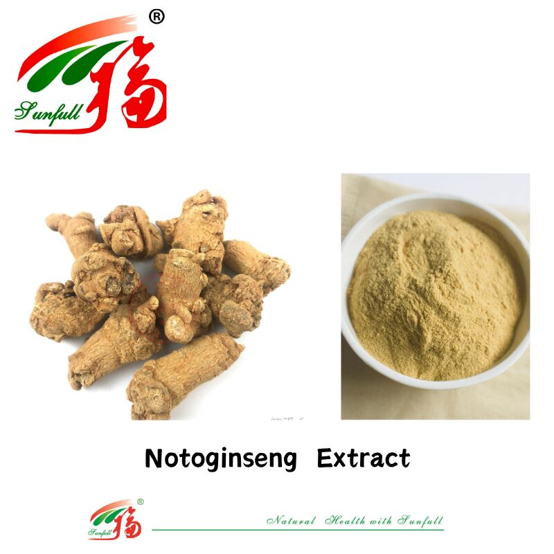 Zastosowanie fabryczne Hemostaza Suplementy diety 10% 40% 80% Notoginsenosidy Panax Notoginseng Wydzielina korzenia