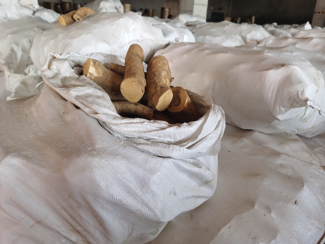 0,5% ekstrakt Eurycomanone Eurycoma longifolia Root Extract w proszku do działania przeciwgorączkowego