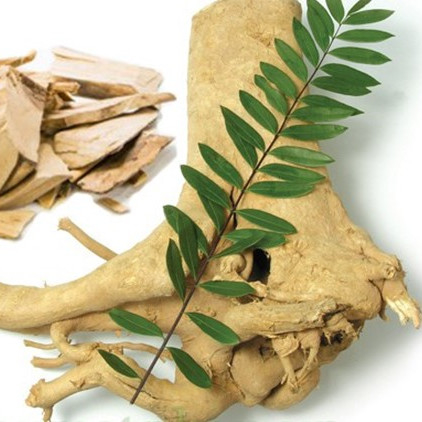 Suplement przeciwwirusowy Eurycoma longifolia 2,5% Eurycomanone Eurycoma longifolia do odzyskiwania zmęczenia