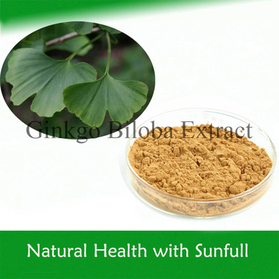 100% naturalny ekstrakt z Ginkgo Biloba