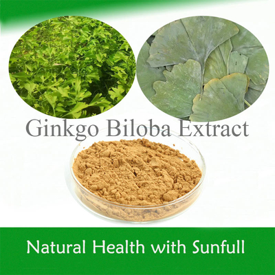 Ekstrakt z liści Ginkgo Biloba 24/6 CAS 90045-36-6 Cp USP561 Ep EC396