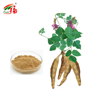 Chiny Fabryka Ekstrakt korzenia naturalnego kudzu Puerarin z 25% 60% 98% Do wyboru