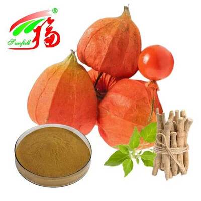 Withania Somnifera Afryka Południowa Withanolidy 5% Ekstrakt z Korzenia Ashwagandhy Produkty Spożywcze dla Zdrowia