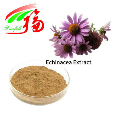 Ekstrakt Echinacea 4% Polifenole 1% 4% Kwas cychoryczny Echinacoside Echinacea Purpurea Extract